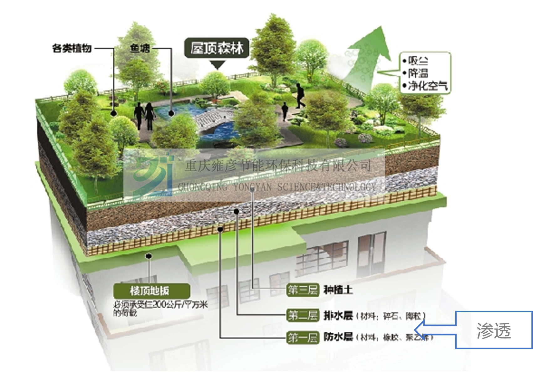 1612507842526752.png 技術(shù)路徑(滲) 水印.png