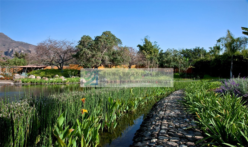 1612508013389695.png 1.png